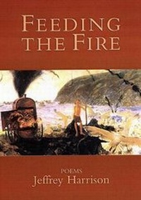Enlarge image Cover: Feeding the Fire - Sarabande Books, Incorporated