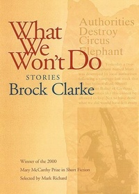 Enlarge image Cover: What We Won't Do - Sarabande Books, Incorporated