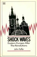 Cover: Shock Waves - Black Rose Books