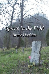 Enlarge image Cover: Spirits in the Field - Bruce Hopkins