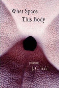 Enlarge image Cover: What Space This Body - Wind Publications