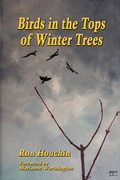 Cover: Birds in the Tops of Winter Trees - Wind Publications