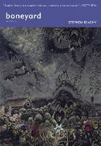 Enlarge image Cover: Boneyard - Verse Chorus Press