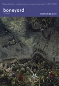 Cover: boneyard - Verse Chorus Press