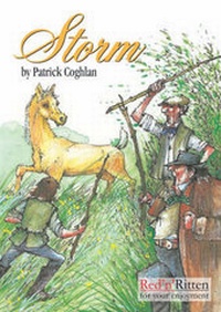 Enlarge image Cover: Storm - Red n Ritten Ltd