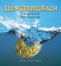 Cover: Llyn Cerrig Bach - Isle of Anglesey County Council