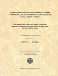 Cover: A Supplemental Class III Archaeological Survey of the Phase A, Reach 3 Corridor, Tucson Aqueduct, Central Arizona Project - Arizona State Museum