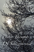 Cover: Poetic Thoughts of Schizophrenia - Golden Meteorite Press