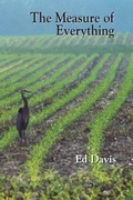 Cover: The Measure of Everything - Plain View Press, LLC