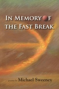 Cover: In Memory of the Fast Break - Plain View Press