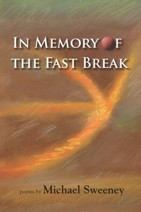 Enlarge image Cover: In Memory of the Fast Break - Plain View Press
