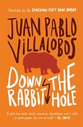 Cover: Down the Rabbit Hole - And Other Stories