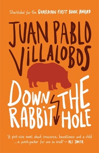 Enlarge image Cover: Down the Rabbit Hole - And Other Stories