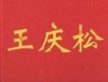 Cover: Wang Qingsong - Albion