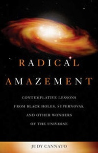 Enlarge image Cover: Radical Amazement - Sorin Books, U.S.