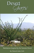 Cover: Desert Graces - Paulist Press