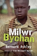 Cover: Milwr Bychan - Rily Publications Ltd