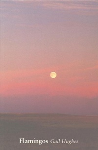 Enlarge image Cover: Flamingos - Parthian Books