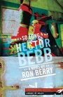 Cover: So Long Hector Bebb - Parthian Books
