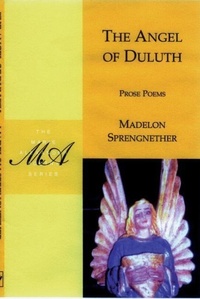Enlarge image Cover: The Angel of Duluth - White Pine Press