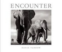 Enlarge image Cover: Encounter - Clearview