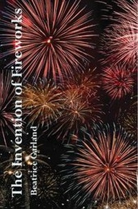 Enlarge image Cover: The Invention of Fireworks - Templar Poetry