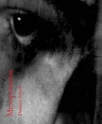 Enlarge image Cover: Mesopotamia - Templar Poetry