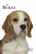 Cover: Beagle - The Pet Book Publishing Company Ltd
