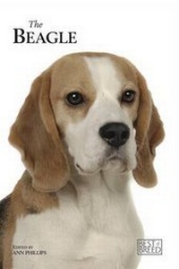 Enlarge image Cover: Beagle - The Pet Book Publishing Company Ltd