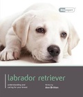 Cover: Labrador - Dog Expert - The Pet Book Publishing Company Ltd