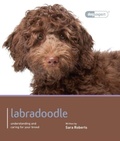 Cover: Labradoodle - Dog Expert - The Pet Book Publishing Company Ltd
