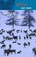 Cover: A Herd of Red Deer - Luath Press Ltd
