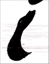 Enlarge image Cover: I Am - Dewi Lewis Publishing