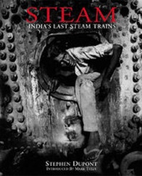 Enlarge image Cover: Steam - Dewi Lewis Publishing