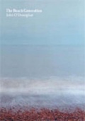 Cover: The Beach Generation - Pighog Press