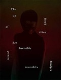 Cover: The Book of Invisible Bridges - Pighog Press