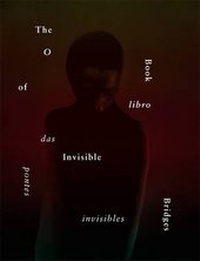 Enlarge image Cover: The Book of Invisible Bridges - Pighog Press