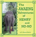 Cover: The Amazing Adventures of Henry and Ho-Ho - Word4Word
