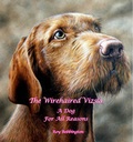 Cover: The Wirehaired Vizsla - Blaisdon (Publishing)