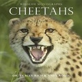 Cover: Cheetahs - Evans Mitchell Books