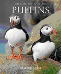 Cover: Puffins - Evans Mitchell Books