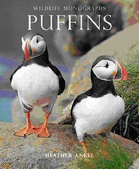 Enlarge image Cover: Puffins - Evans Mitchell Books