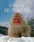 Cover: Snow Monkeys - Evans Mitchell Books