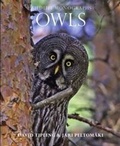 Cover: Owls - Evans Mitchell Books