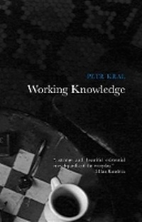 Enlarge image Cover: Working Knowledge - Pushkin Press