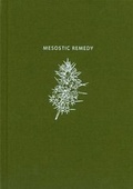 Cover: Mesostic Remedy - Morning Star Publications