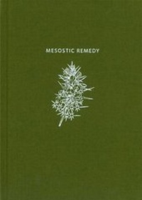 Enlarge image Cover: Mesostic Remedy - Morning Star Publications