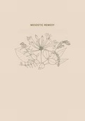 Cover: Mesostic Remedy - Morning Star Publications
