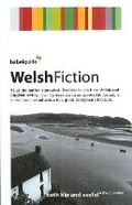 Cover: Babel Guide to Welsh Fiction - Boulevard Books