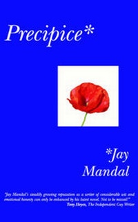 Enlarge image Cover: Precipice - BeWrite Books